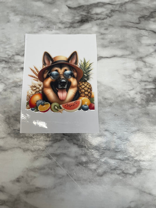 German Shepard with Hat