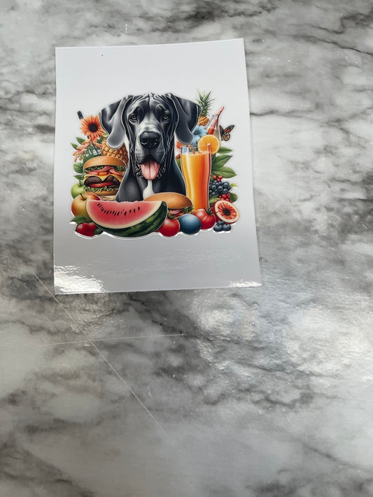 Weimaraner