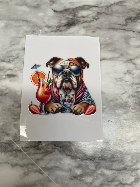 English Bulldog