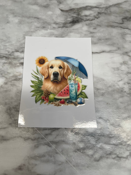 Golden Retriever