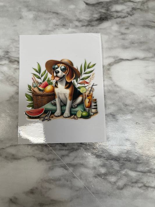 Beagle