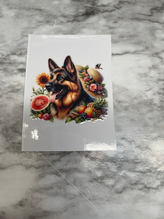 German Shepard