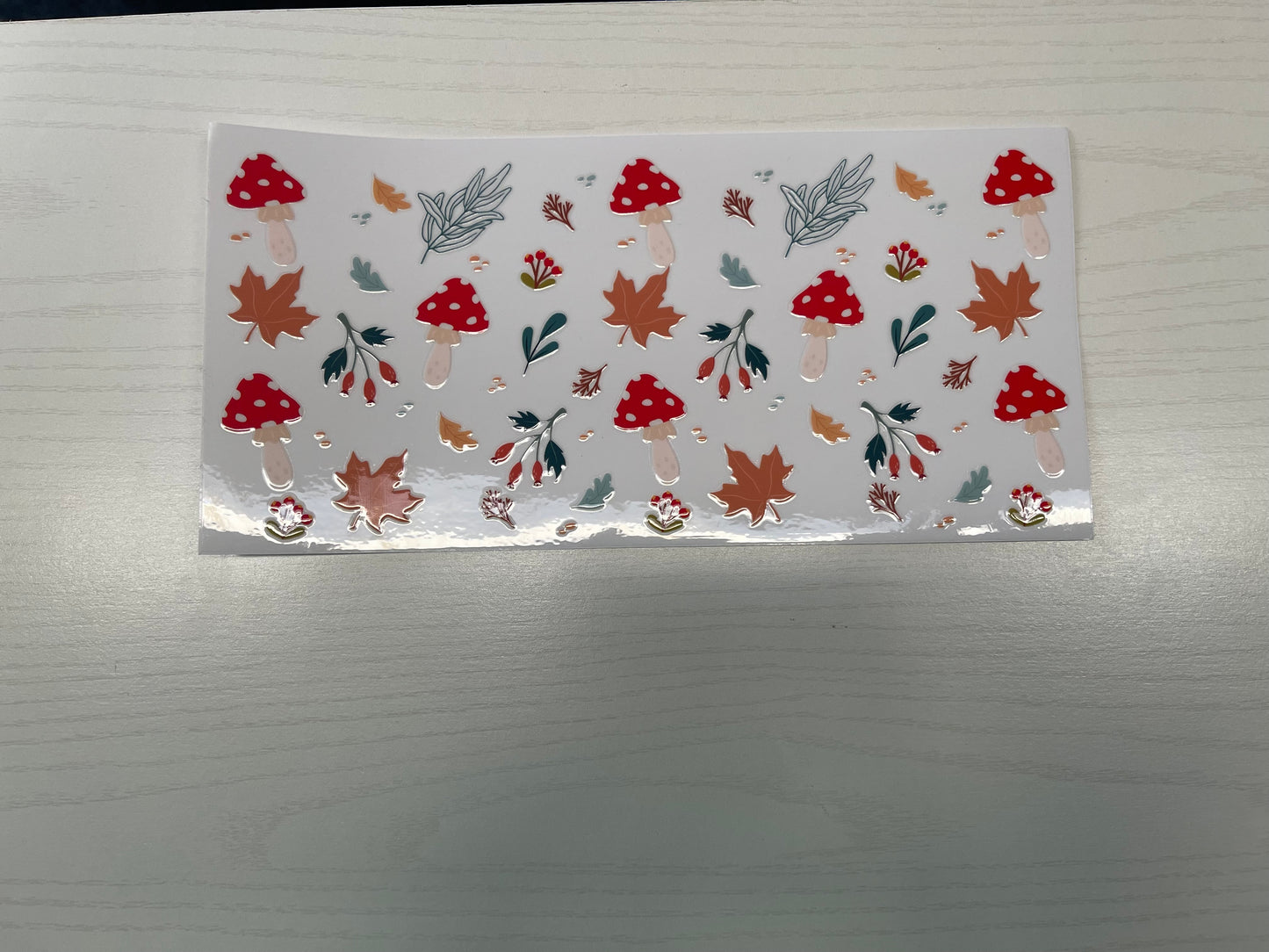 Fall Shrooms