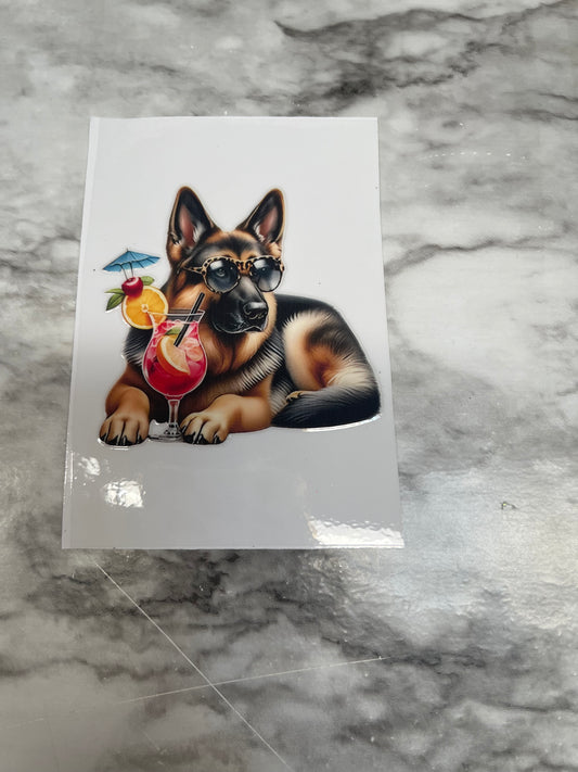 German Shepard with Drink
