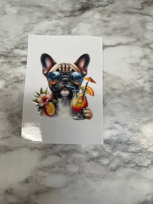 Frenchie With Drink