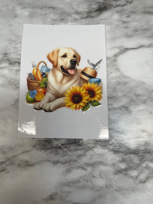 Lab and Sunflowers