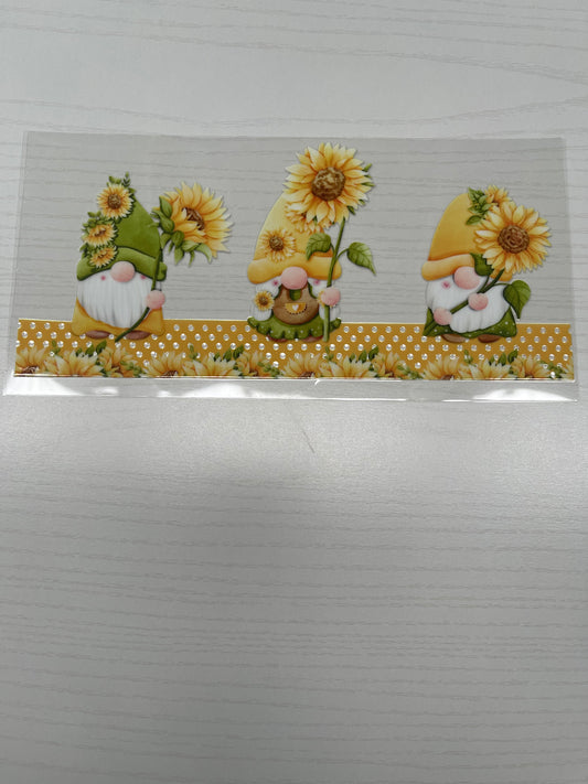 Gnomie  Sunflower