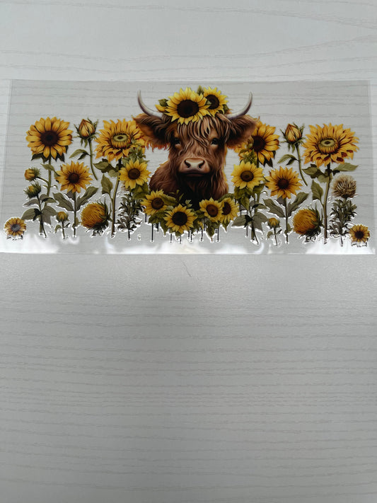 Highland Cow/Sunflower