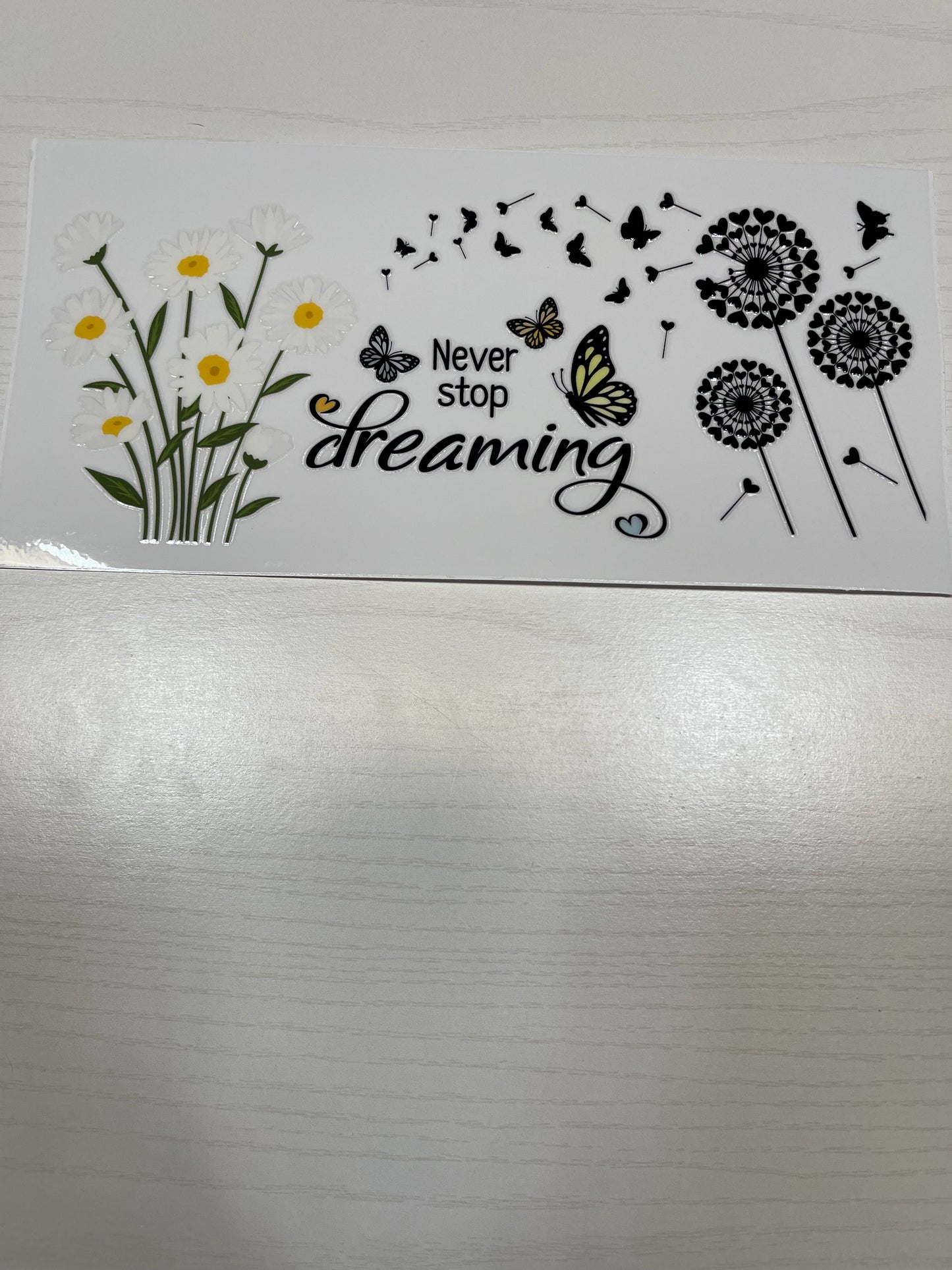 Never Stop Dreaming
